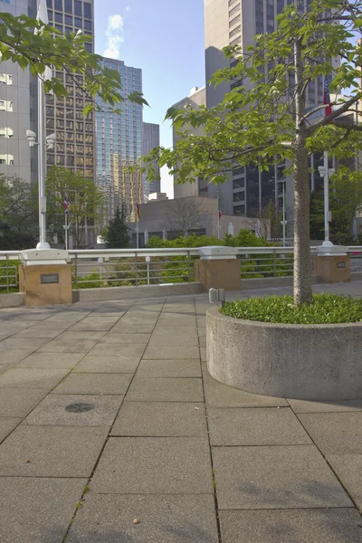 Seattle centrum van gebouwen en park. — Stockfoto