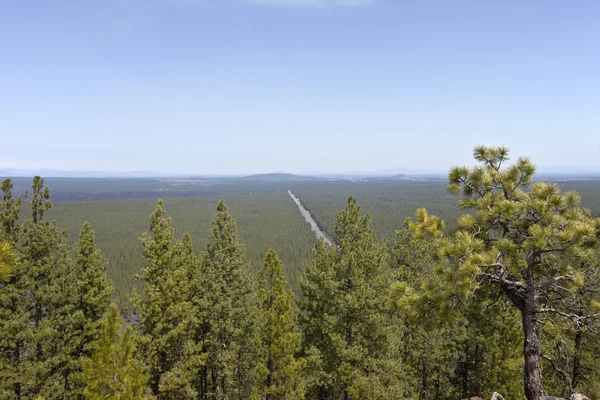 Hazy view of route 97 North from Lava Butte OR. — Stock Photo, Image