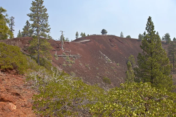 Lava Butte bos en omgeving. — Stockfoto