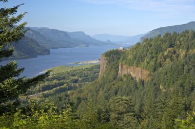 Columbia River Gorge ve çevreleyen ormanlar.