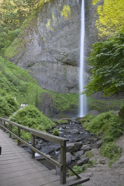 Columbia River Gorge waterfall and greens. — Stock Photo, Image