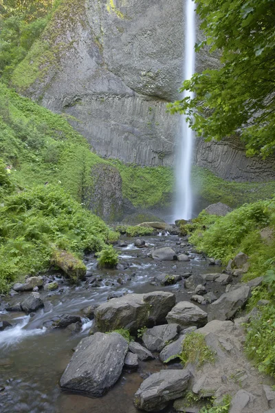 コロンビア川の峡谷の滝と緑. — ストック写真