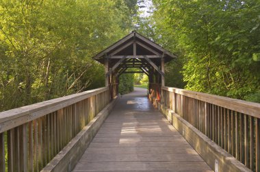 Küçük ahşap kaplı köprü Oregon.