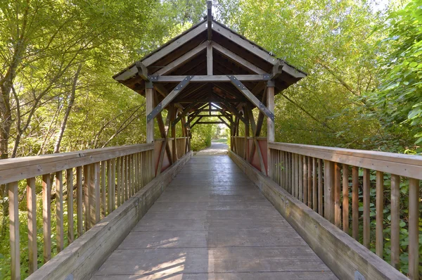 Petit pont couvert en bois Oregon . — Photo