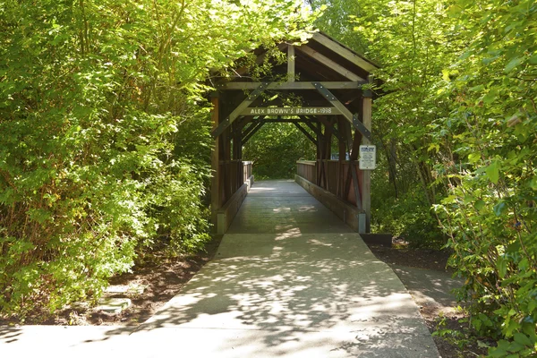 Petit pont couvert en bois Oregon . — Photo
