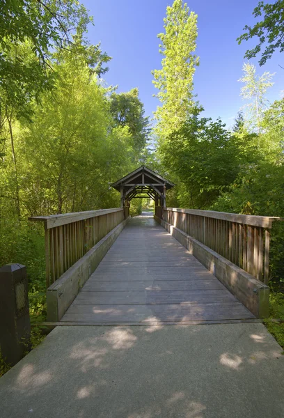 Petit pont couvert en bois Oregon . — Photo