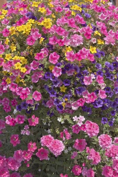 Farm and garden nursery in Canby Oregon. — Stock Photo, Image