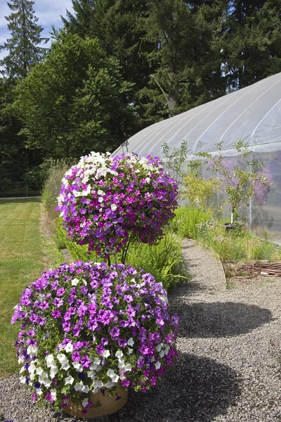 Farm and garden nursery in Canby Oregon. — Stock Photo, Image