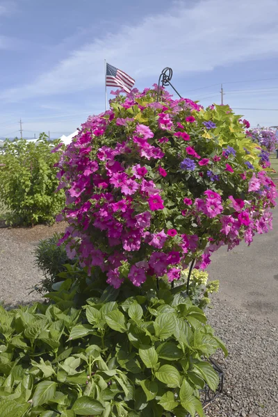 Boerderij en tuin kwekerij in canby (Oregon). — Stockfoto