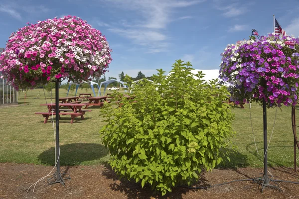 Vivero de granja y jardín en Canby Oregon . — Foto de Stock