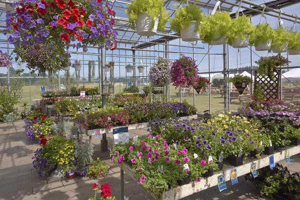 Boerderij en tuin kwekerij in canby (Oregon). — Stockfoto