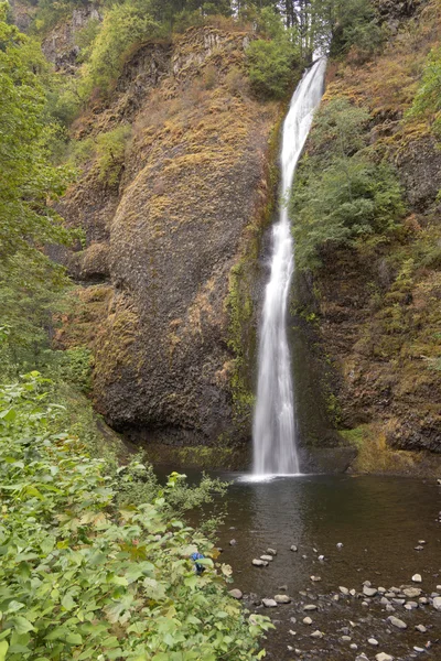 スギナは、オレゴン州コロンビア川渓谷を滝します。. — ストック写真