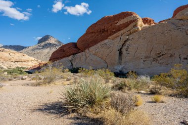 Visiting the Red Rock Canyon outside Las Vegas Nevada.