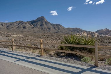 Visiting the Red Rock Canyon outside Las Vegas Nevada.