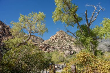 Visiting the Red Rock Canyon outside Las Vegas Nevada.