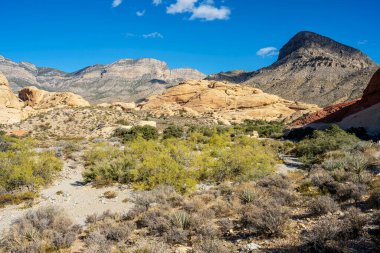 Visiting the Red Rock Canyon outside Las Vegas Nevada.