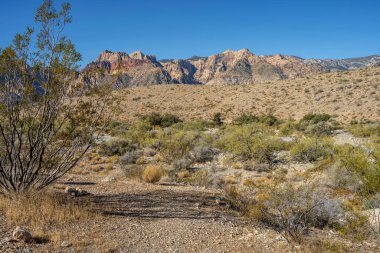 Visiting the Red Rock Canyon outside Las Vegas Nevada.