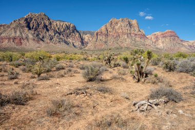 The visit to the Red Rock Canyon near Las Vegas Nevada state. 