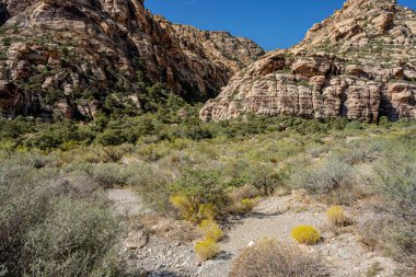 Visiting the Red Rock Canyon outside Las Vegas Nevada.