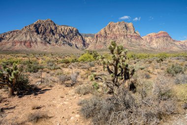 The visit to the Red Rock Canyon near Las Vegas Nevada state.