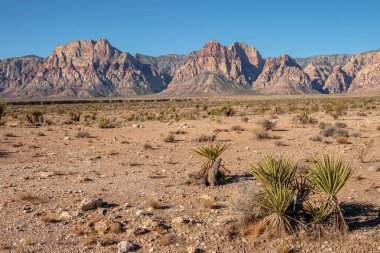 The visit to the Red Rock Canyon near Las Vegas Nevada state.