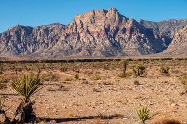 The visit to the Red Rock Canyon near Las Vegas Nevada state.