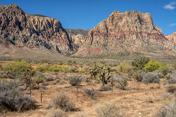 Visiting the Red Rock Canyon outside Las Vegas Nevada.
