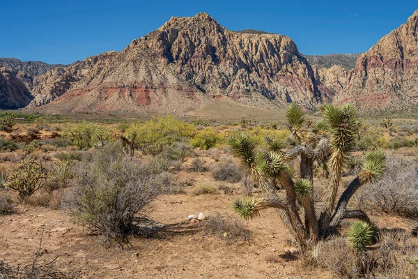 The visit to the Red Rock Canyon near Las Vegas Nevada state.