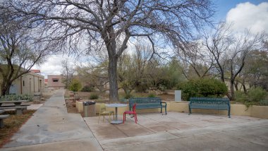 Kingman AZ 'deki teknik üniversite parkı ve doğa..