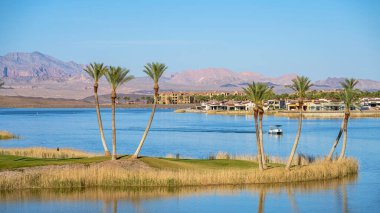 Las Vegas Gölü Nevada Güzel bir vaha manzarası.