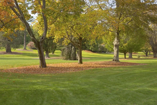 Herbst in einem Park tacoma wa. — Stockfoto