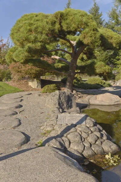 Японський сад у Вашингтоні Такома — стокове фото