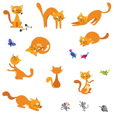 Şirin zencefil Cats
