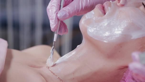Женщина косметолог наносит крем с кистью на молодую женщину. — стоковое видео