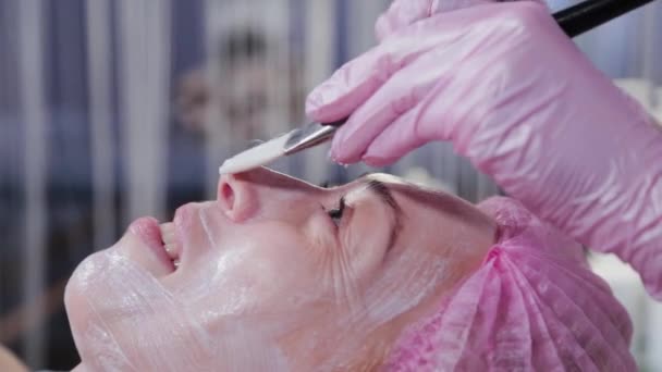 Mulher esteticista aplica uma máscara para o rosto de uma jovem mulher com uma escova. — Vídeo de Stock