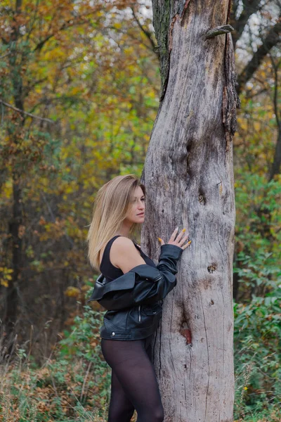 Hermosa mujer posando en el bosque de otoño. Hermosas fotos de mujeres. — Foto de Stock