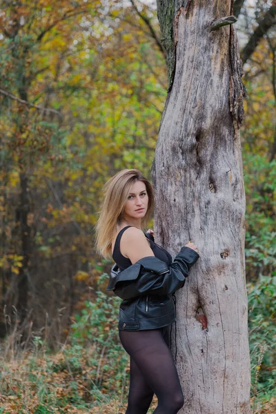 Hermosa mujer posando en el bosque de otoño. Hermosas fotos de mujeres. — Foto de Stock