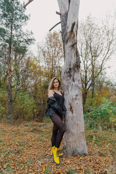 Bella donna in posa nella foresta autunnale. Belle foto di donne. — Foto Stock