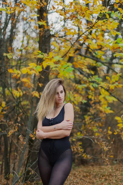 Hermoso retrato de mujer en el bosque en otoño. — Foto de Stock
