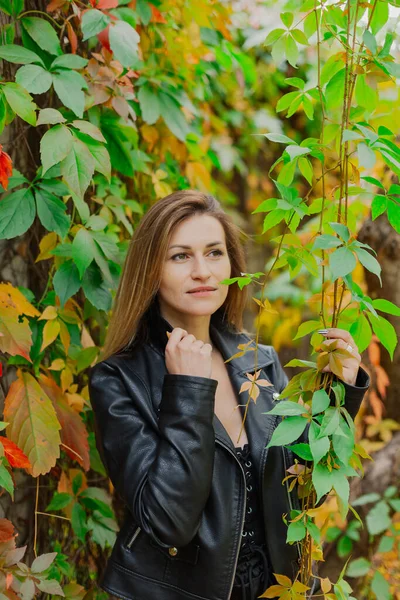 가을 덤불 속의 젊은 여자의 아름다운 모습. — 스톡 사진