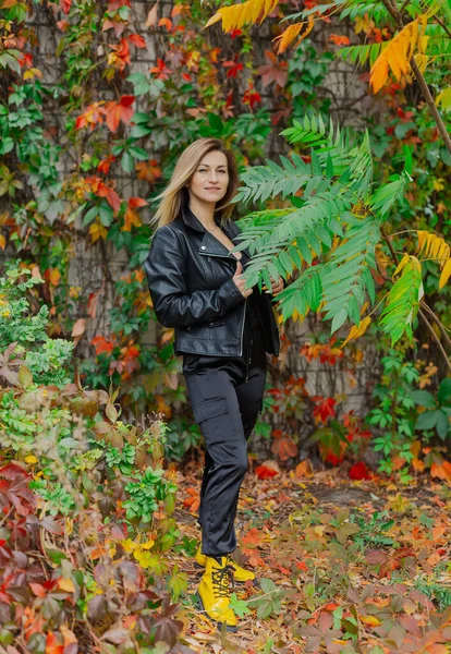 Prachtig portret van een jonge vrouw in herfststruiken. Rechtenvrije Stockafbeeldingen