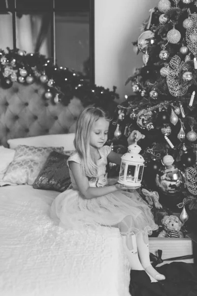 Gyönyörű kislány ül egy karácsonyfa mellett lámpással a kezében.. — Stock Fotó