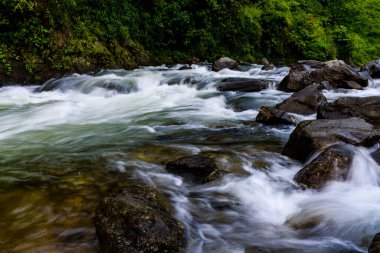 Karpat dağlarında akan güzel dağ nehri