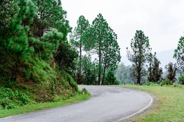 Strada Nel Bosco — Foto Stock