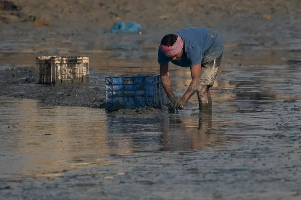 Niño Está Caminando Por Mar Lodo Sucio — Foto de Stock