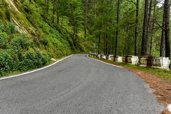 Strada Nel Bosco — Foto Stock