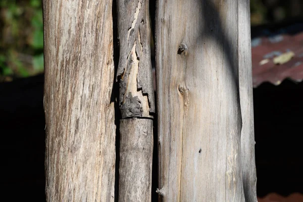 Old Wooden Fence White Background — Stock Photo, Image