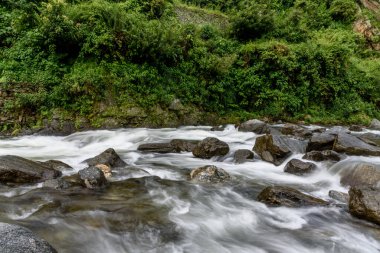 Dağ nehri, kayalar ve yeşil ağaçlarla 