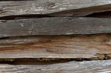 Doğal desenli eski ahşap doku.