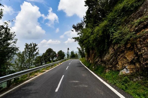 Strada Nel Bosco — Foto Stock